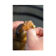 Wafter Sonubaits - Spike'um Wafter Meaty Mussel 8mm